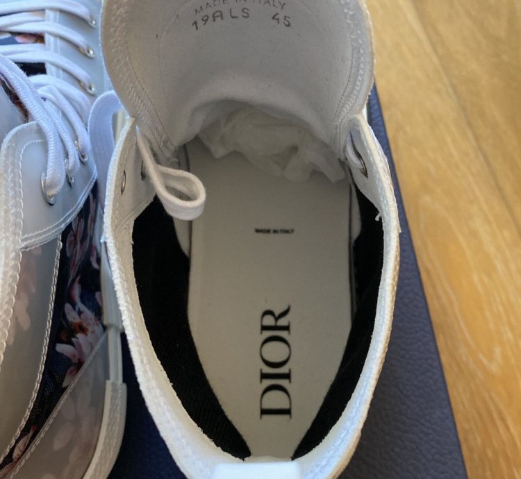 Dior B23 -rex High Tops