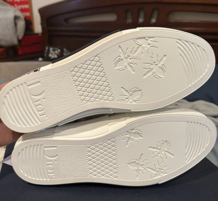 Dior B23 Brand New Sneakers