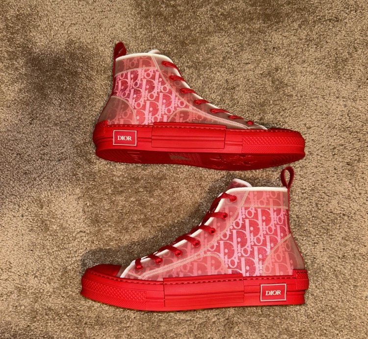 Dior B23 Hi-top Oblique Sneaker