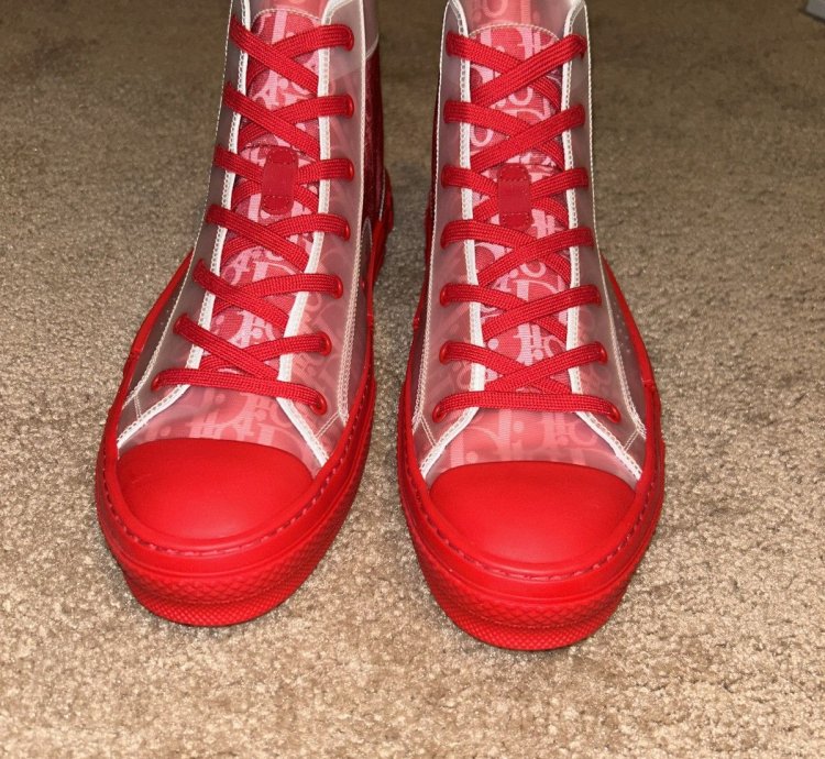 Dior B23 Hi-top Oblique Sneaker