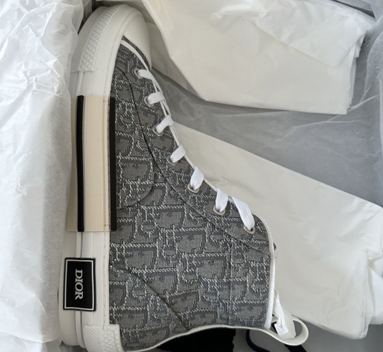 Dior B23 High Top