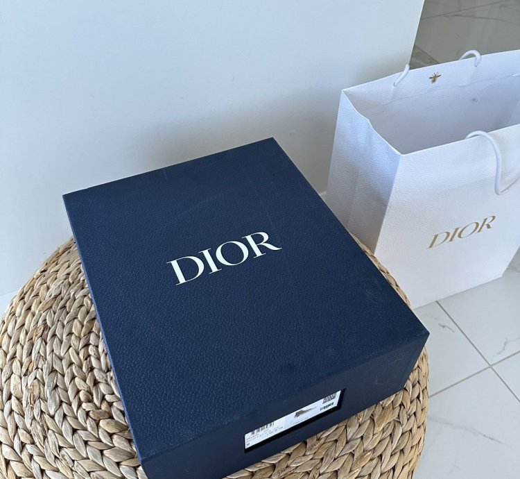Dior B23 High Top