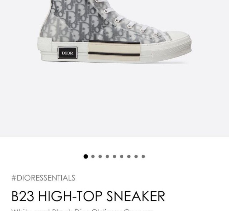 Dior B23 High Top Logo Oblique Size Eu 43 Us 10