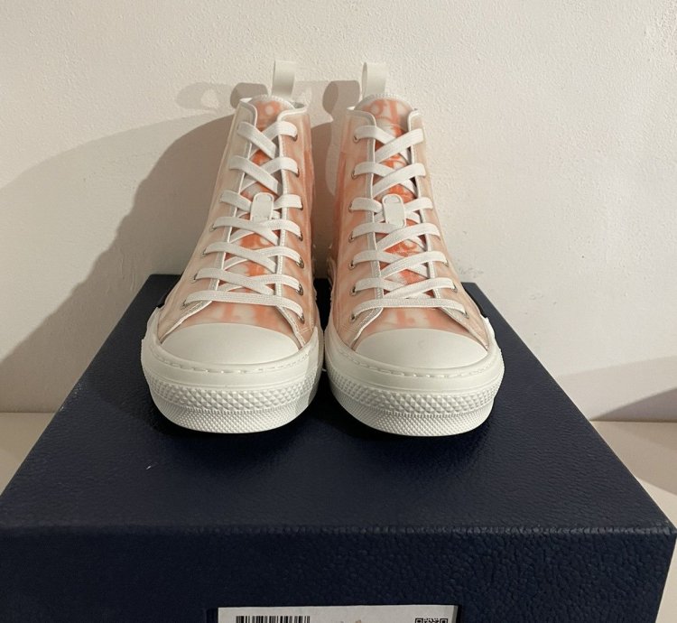 Dior B23 High Top Oblique Transparency