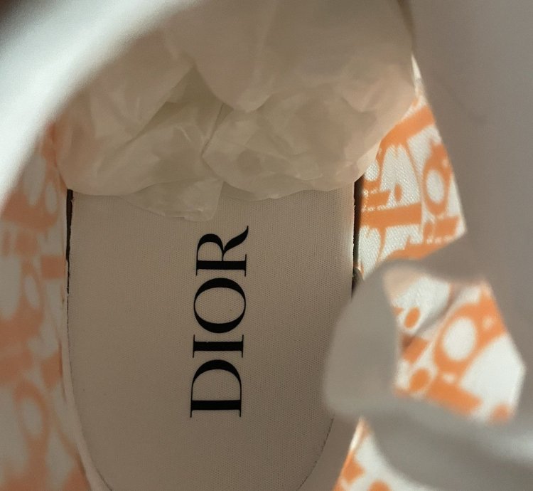 Dior B23 High Top Oblique Transparency