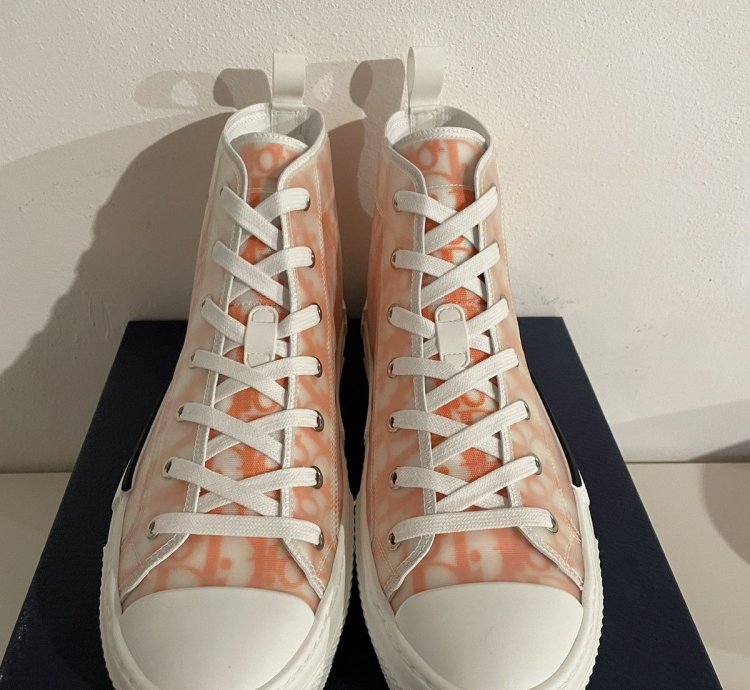 Dior B23 High Top Oblique Transparency