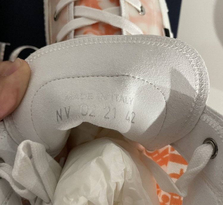 Dior B23 High Top Oblique Transparency