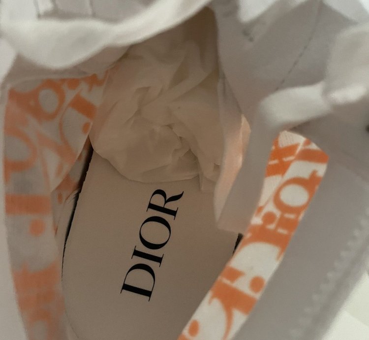 Dior B23 High Top Oblique Transparency