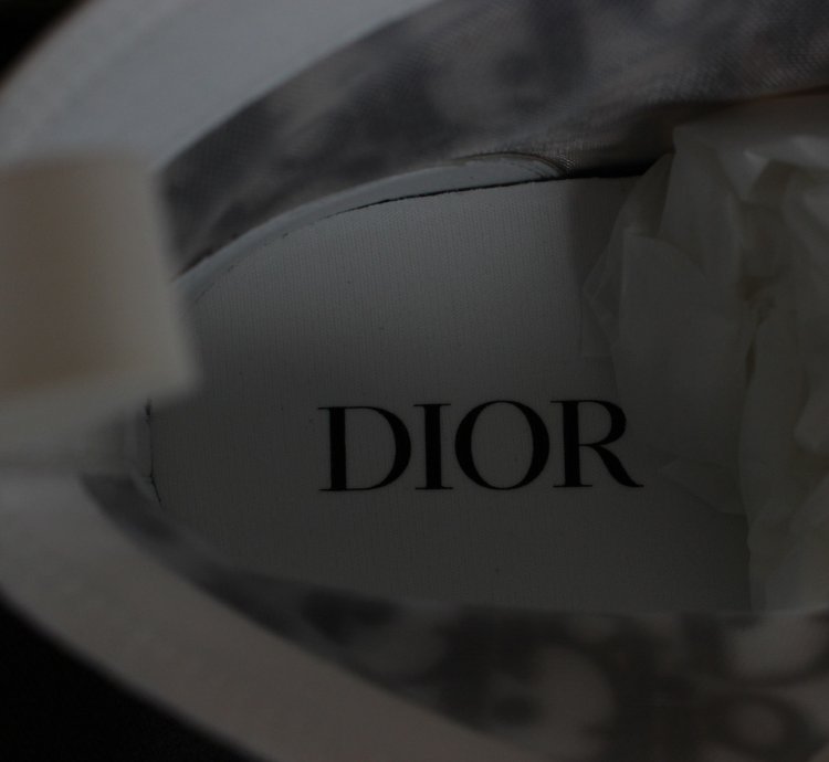 Dior B23 High Top Sneaker