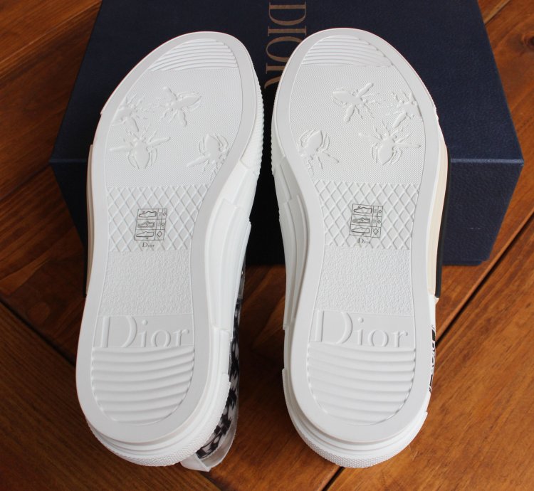 Dior B23 High Top Sneaker