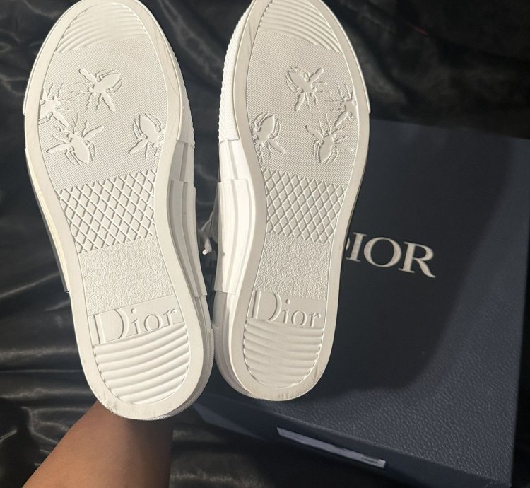 Dior B23 High-top Sneakers
