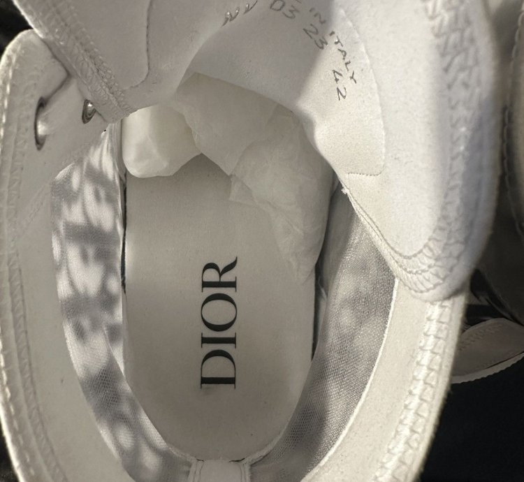Dior B23 High-top Sneakers