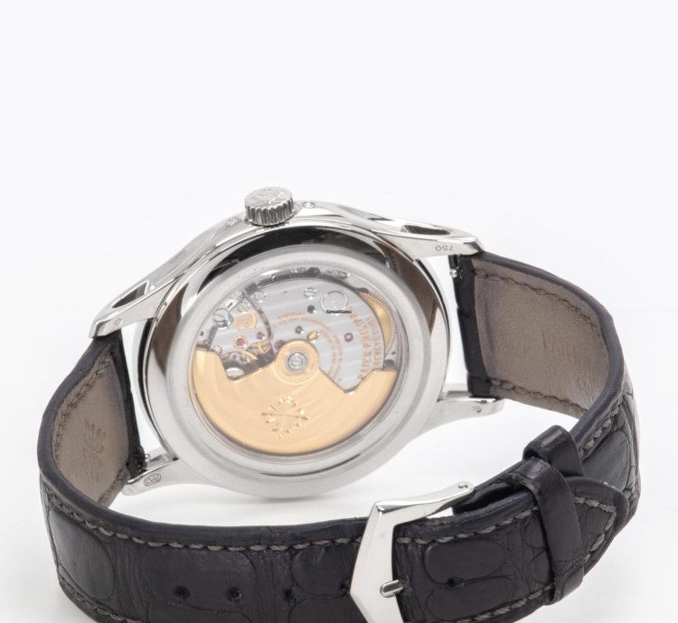 Patek Philippe Annual Calendar Moonphase 5205g-010