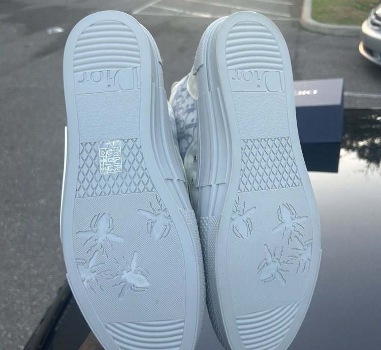 Dior B23 Hightop Size 13