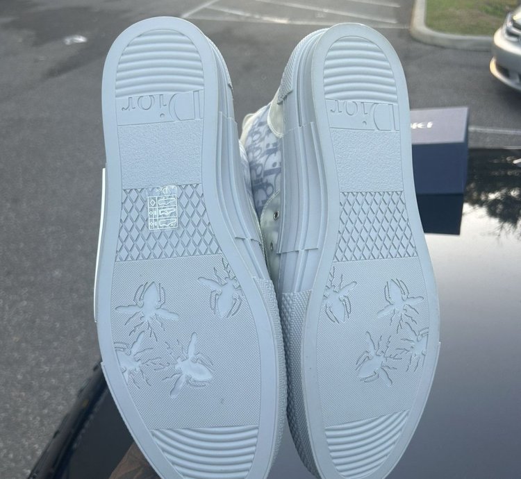 Dior B23 Hightop Size 13