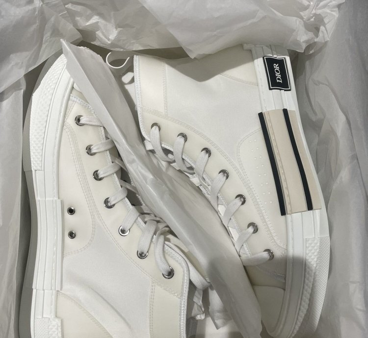 Dior B23 Hightop Sneakers