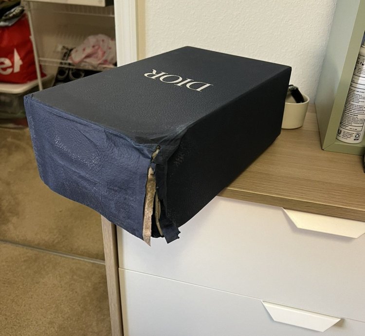Dior B23 Low