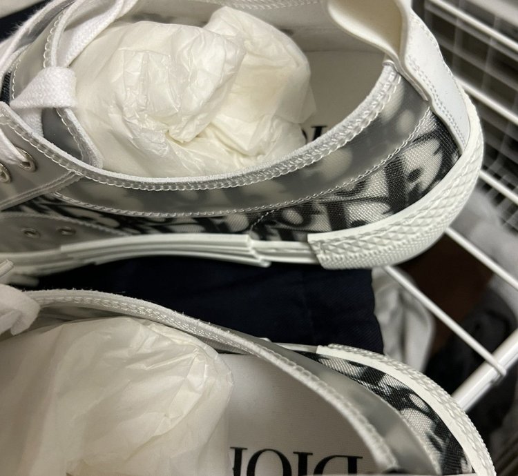 Dior B23 Low