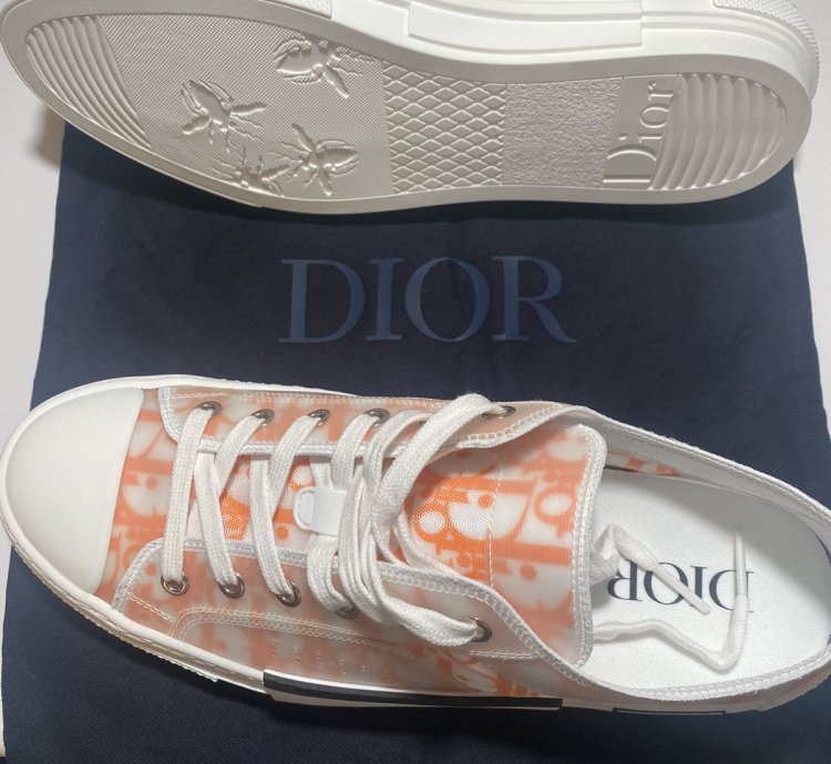 Dior B23 Low Dior Oblique Orange