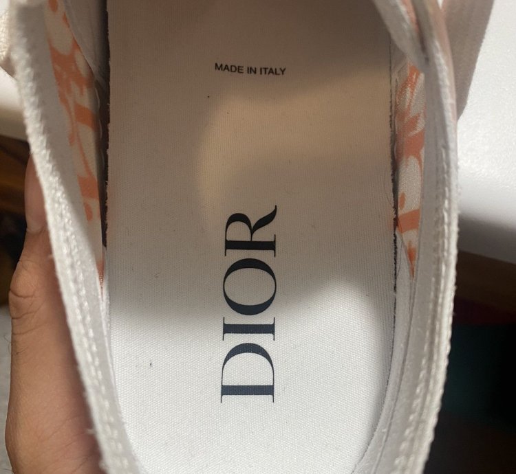 Dior B23 Low Dior Oblique Orange