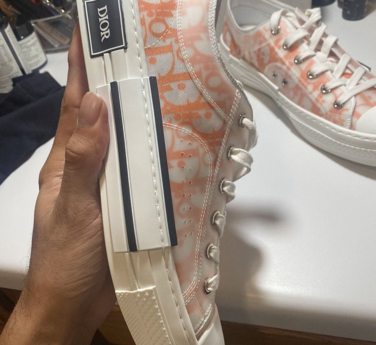 Dior B23 Low Dior Oblique Orange