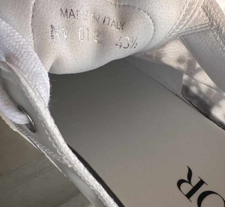 Dior B23 Low Dior Oblique Size 43 5 Us 10 5