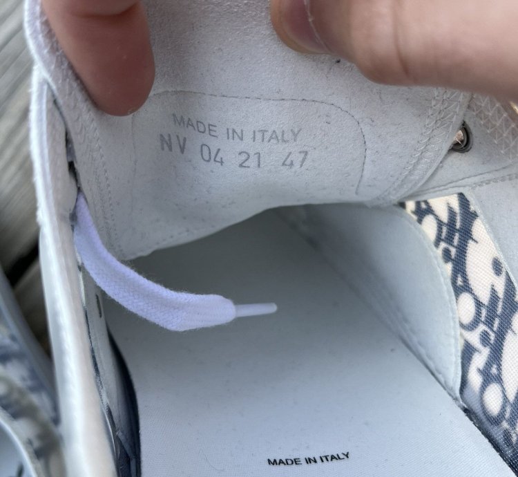 Dior B23 Low Grey Navy