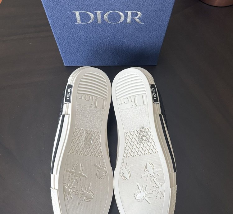 Dior B23 Low Kumo