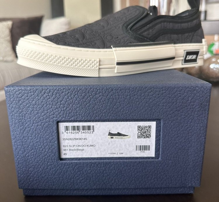 Dior B23 Low Kumo