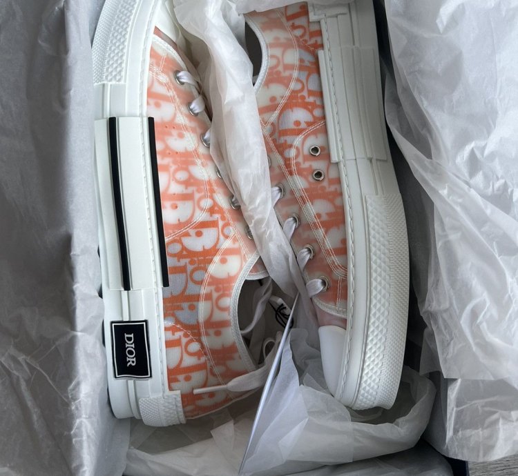 Dior B23 Lt Oblique