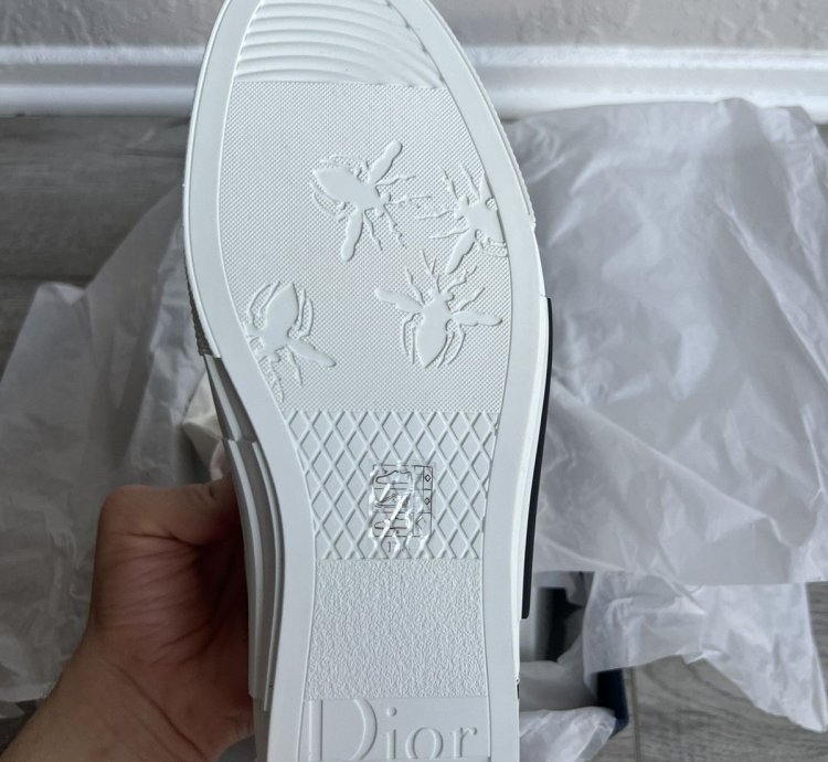 Dior B23 Lt Oblique
