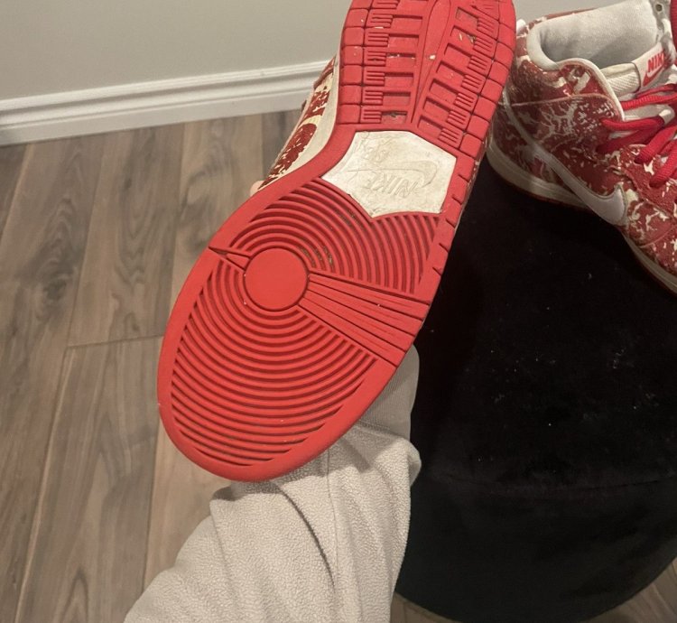 Authentic Raw Meat Nike Sb Dunks