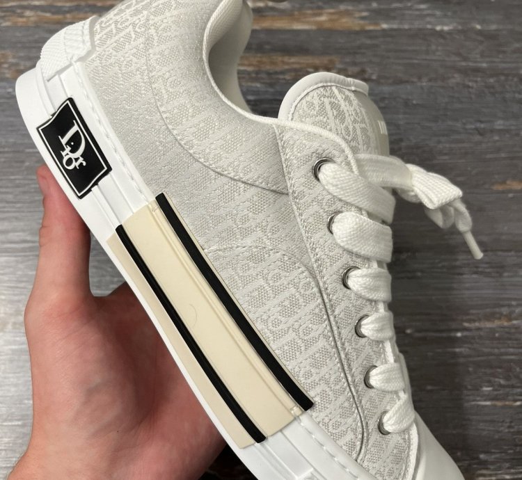 Dior B23 Skate Low Oblique Jacquard