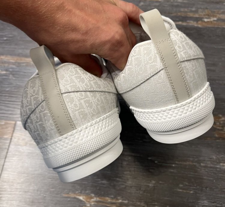 Dior B23 Skate Low Oblique Jacquard