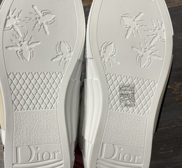 Dior B23 Skate Low Oblique Jacquard