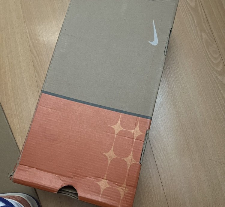 Nike Sb Danny Supa Dunk Low Sz 9 Ds 2002