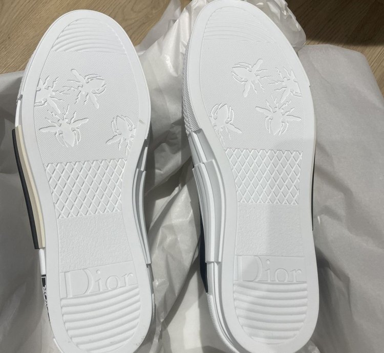 Dior B23 Sneaker