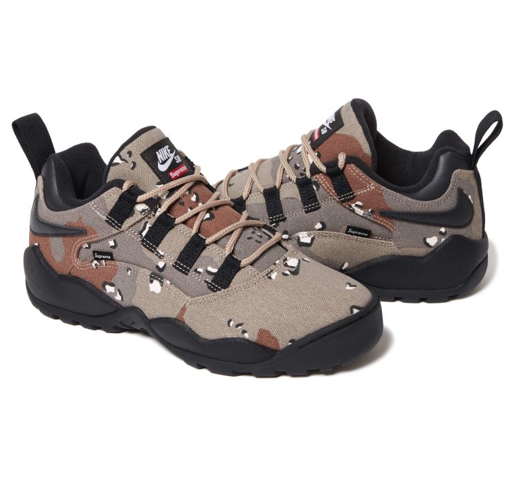 Nike Sb Darwin Low