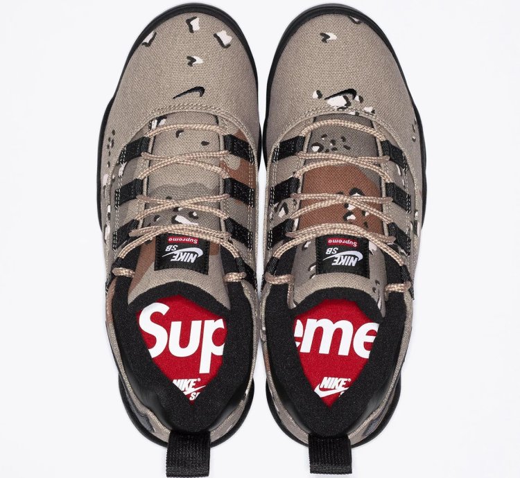 Nike Sb Darwin Low