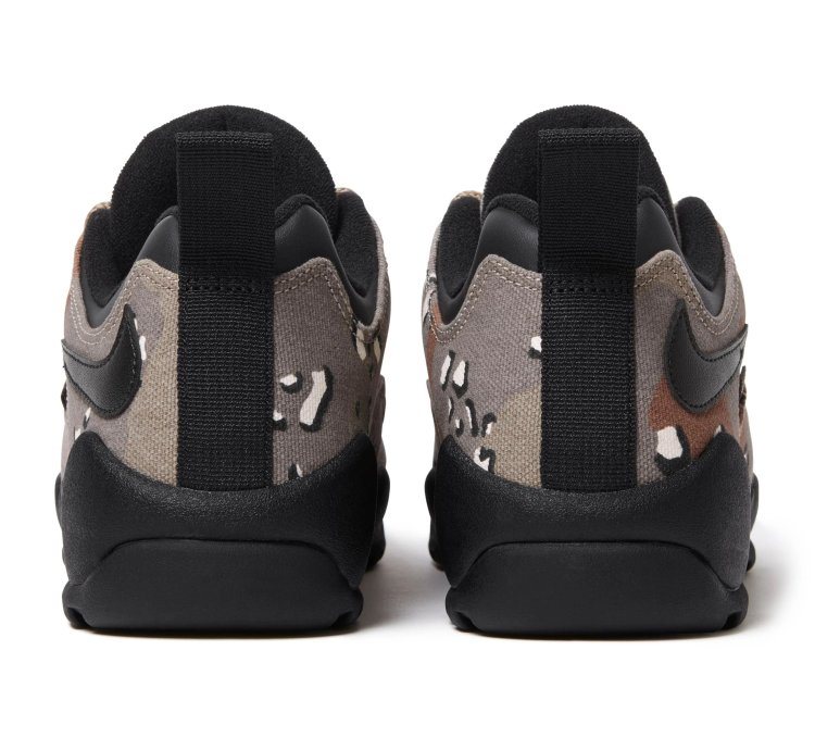 Nike Sb Darwin Low