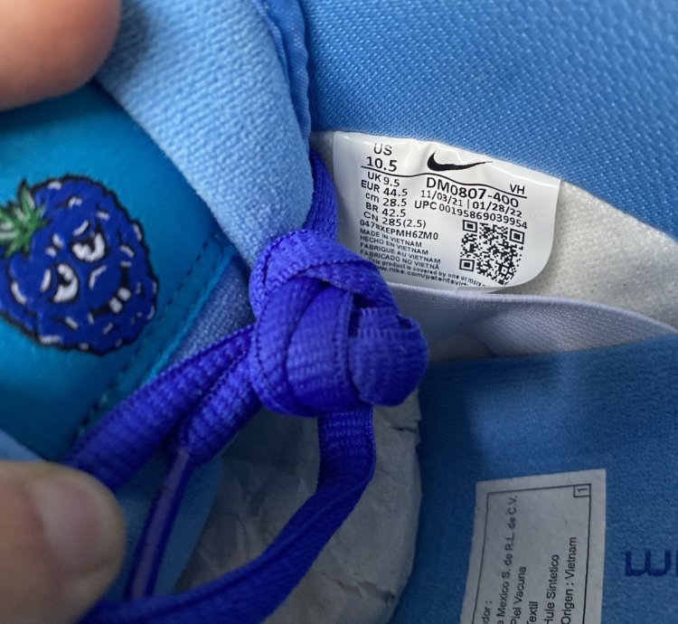 Nike Sb Dunk Low Blue Raspberry