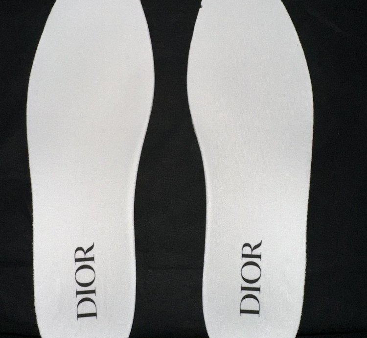 Dior B23 White And Black Oblique Canvas Low