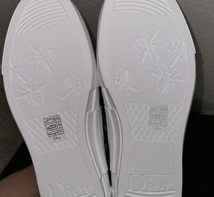 Dior B23 White And Black Oblique Canvas Low