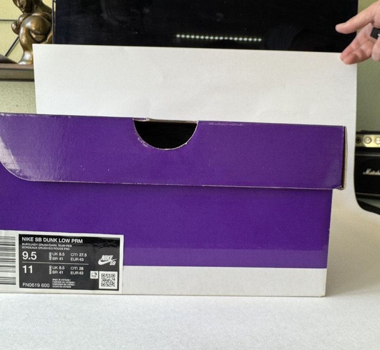 Ds City Of Love Dunk Sb Low Sz 9 5 Red Version