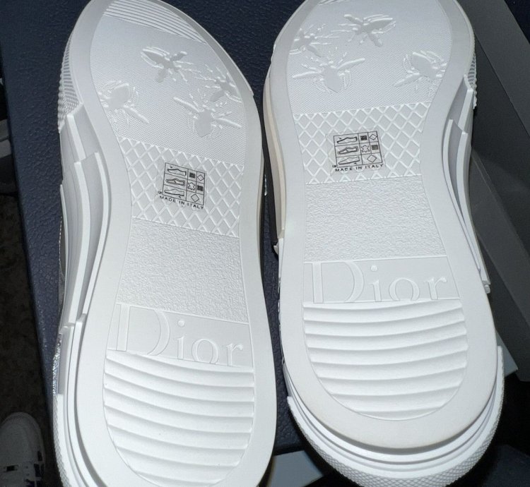 Dior B23 White And Multi Color Dior Chicks