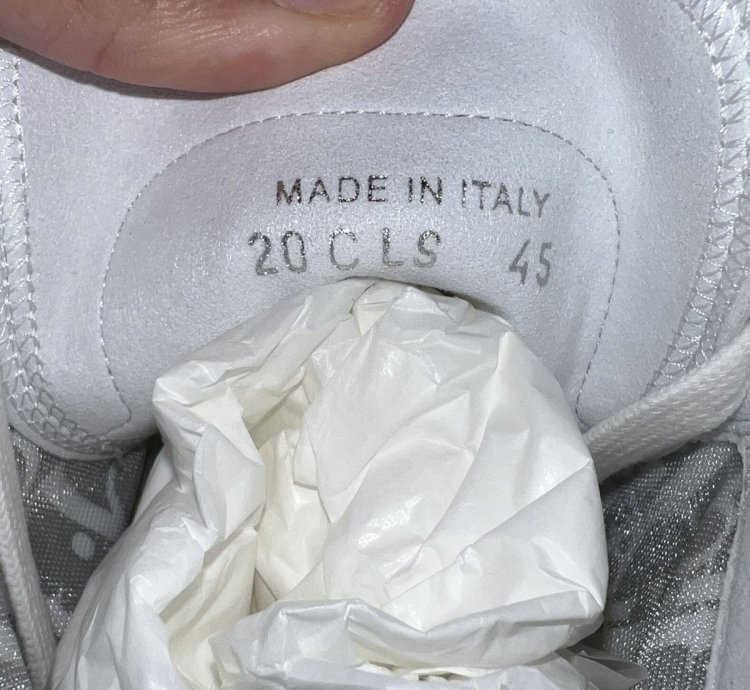 Dior B23 White And Multi Color Dior Chicks