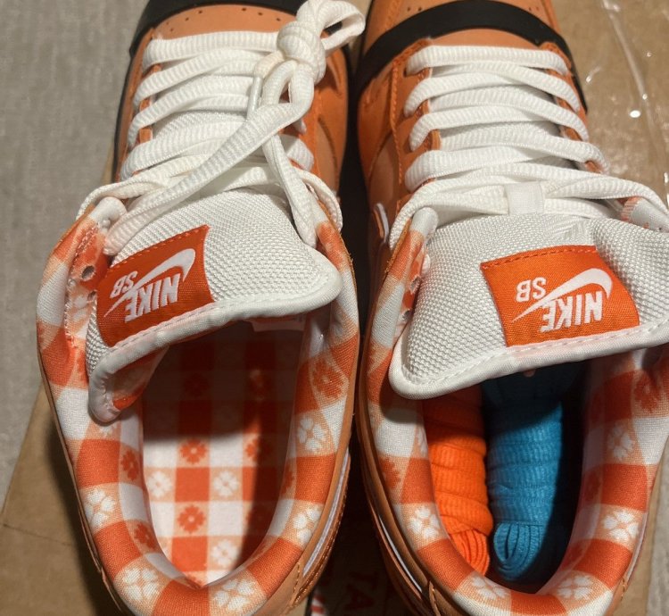 Nike Sb Dunk Low Concepts Orange Lobsters