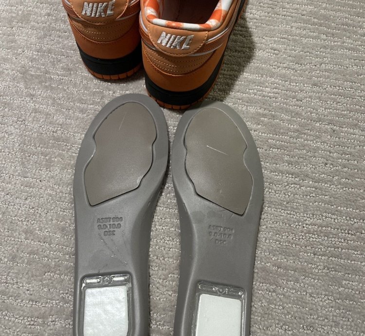 Nike Sb Dunk Low Concepts Orange Lobsters