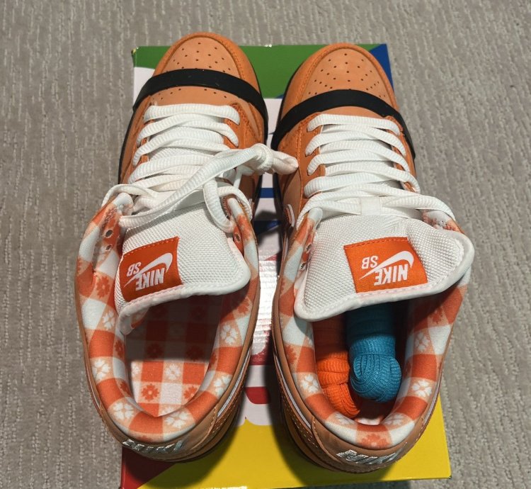Nike Sb Dunk Low Concepts Orange Lobsters