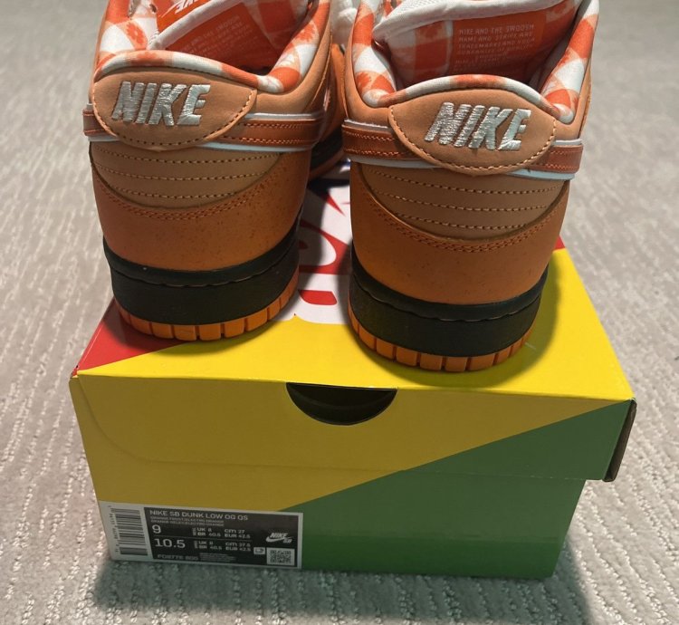 Nike Sb Dunk Low Concepts Orange Lobsters